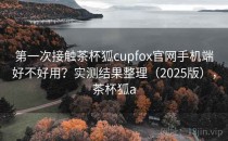 第一次接触茶杯狐cupfox官网手机端好不好用？实测结果整理（2025版），茶杯狐a