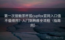 第一次接触茶杯狐cupfox官网入口值不值得用？入门到熟练全流程（指南向）