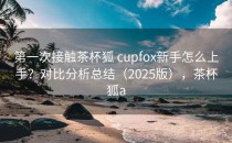 第一次接触茶杯狐 cupfox新手怎么上手？对比分析总结（2025版），茶杯狐a