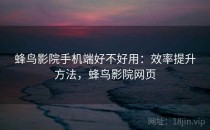 蜂鸟影院手机端好不好用：效率提升方法，蜂鸟影院网页