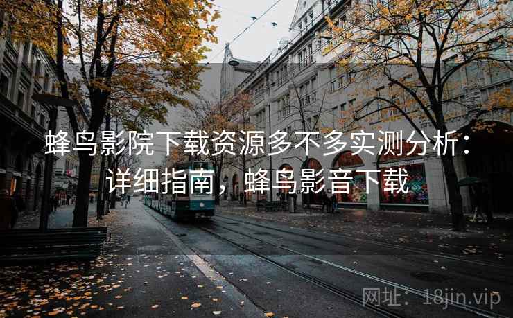 蜂鸟影院下载资源多不多实测分析：详细指南，蜂鸟影音下载  第2张