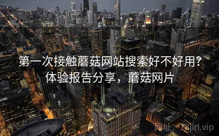 第一次接触蘑菇网站搜索好不好用？体验报告分享，蘑菇网片  第1张