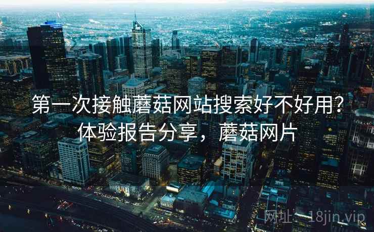 第一次接触蘑菇网站搜索好不好用？体验报告分享，蘑菇网片  第2张