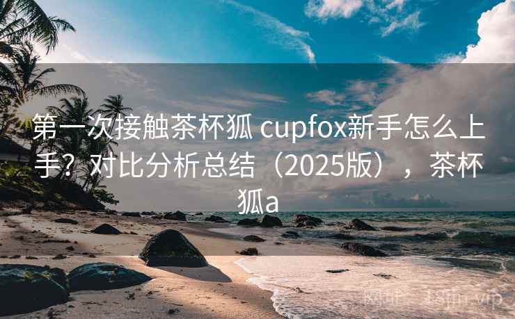 第一次接触茶杯狐 cupfox新手怎么上手？对比分析总结（2025版），茶杯狐a  第1张