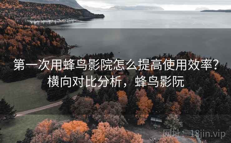 第一次用蜂鸟影院怎么提高使用效率？横向对比分析，蜂鸟影阮  第1张