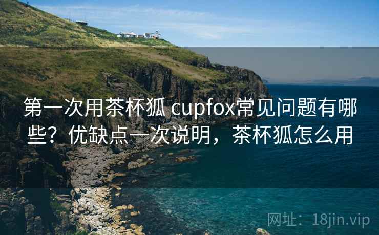 第一次用茶杯狐 cupfox常见问题有哪些？优缺点一次说明，茶杯狐怎么用  第1张