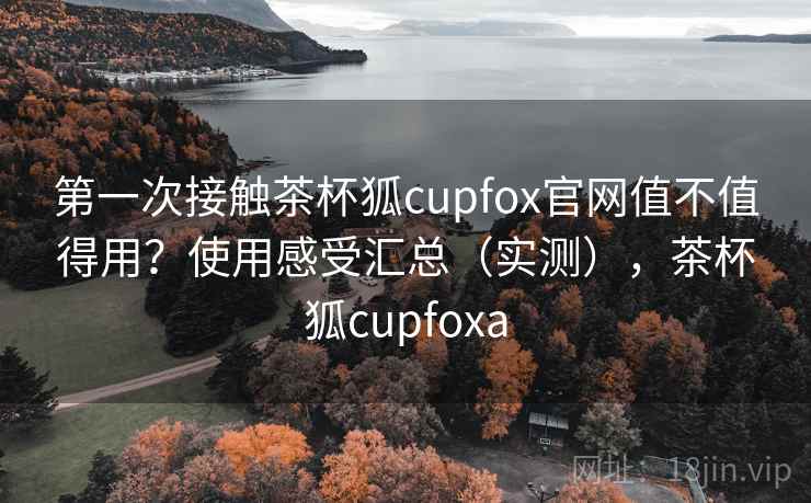 第一次接触茶杯狐cupfox官网值不值得用？使用感受汇总（实测），茶杯狐cupfoxa  第1张