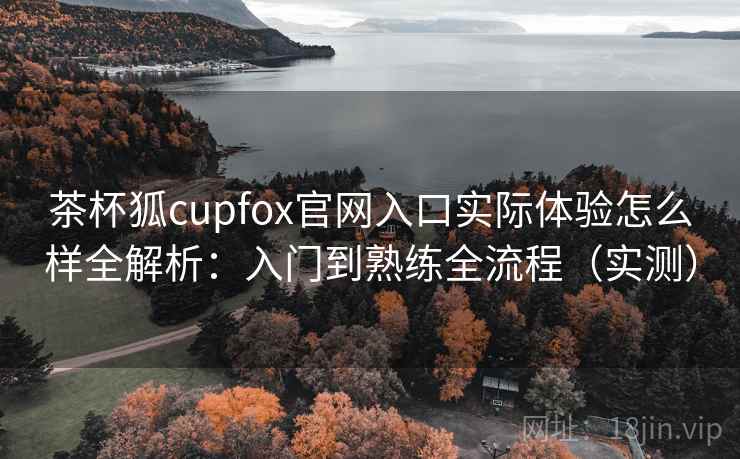 茶杯狐cupfox官网入口实际体验怎么样全解析：入门到熟练全流程（实测）  第2张