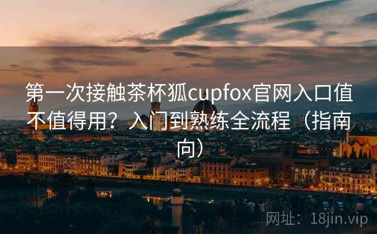 第一次接触茶杯狐cupfox官网入口值不值得用?入门到熟练全流程(指南向) 第2张 第一次接触茶杯狐cupfox官网入口值不值得用?入门到熟练全流程(指南向) 第2张